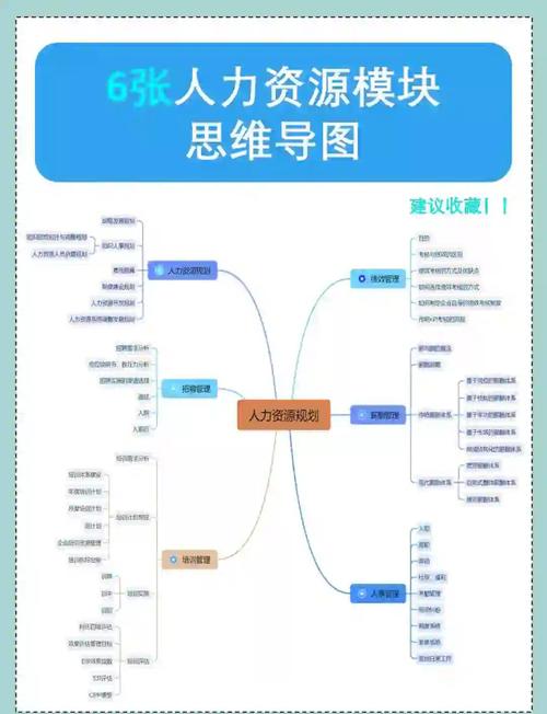 为什么说工作分析是人力资源管理的基础