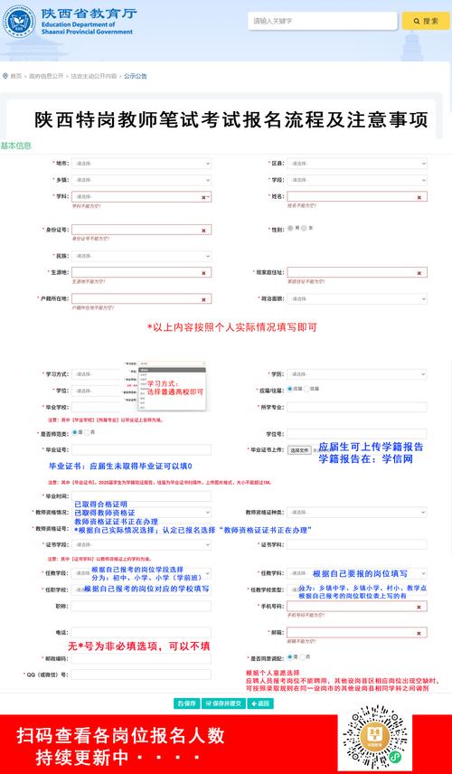 2025安徽特岗计划信息管理系统