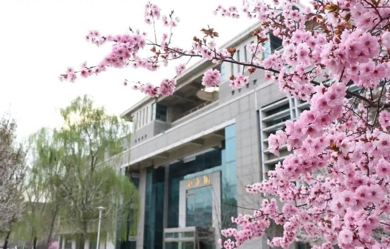 山东管理学院和山东青年政治学院