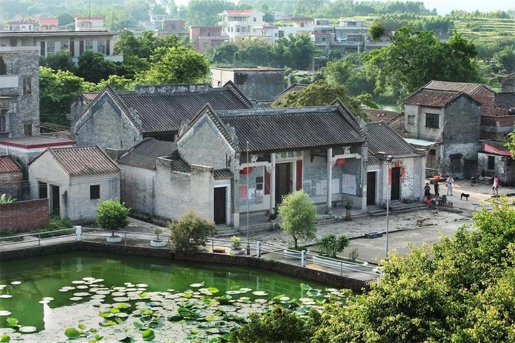 鹤山市农村产权流转管理服务平台