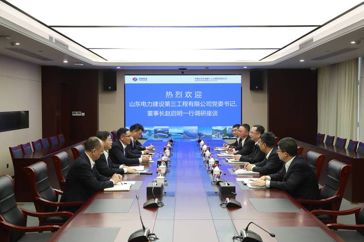 中水电国际投资有限公司