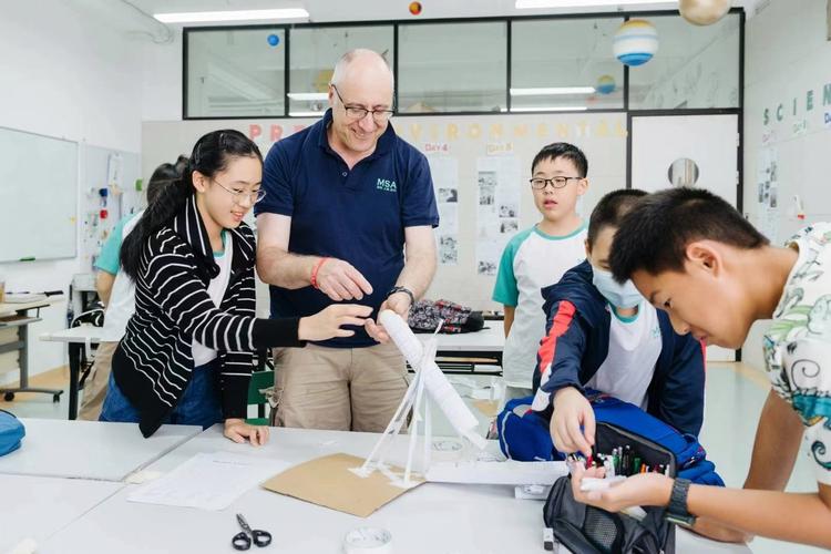 MSA 最新培训视频