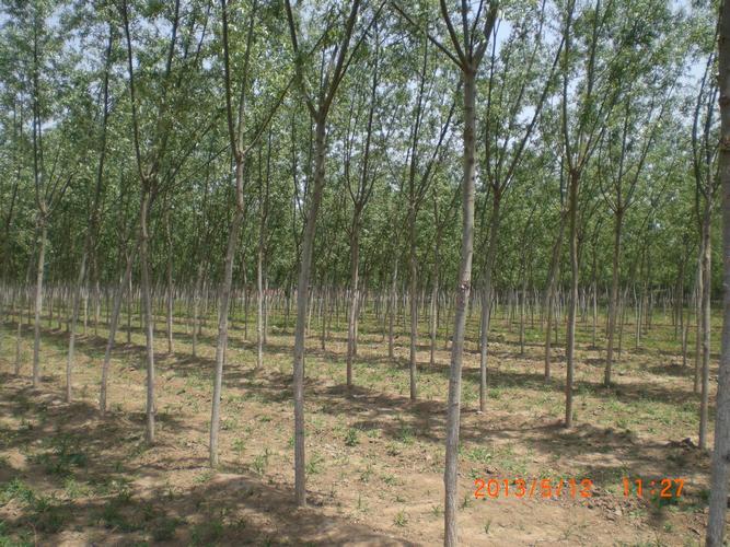 北京振农投资管理有限公司怎么样