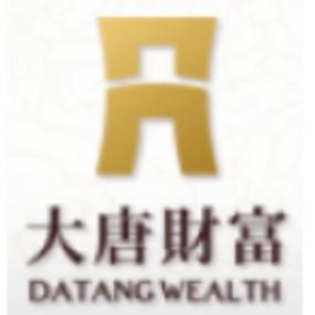 大唐财富投资管理有限公司怎么样