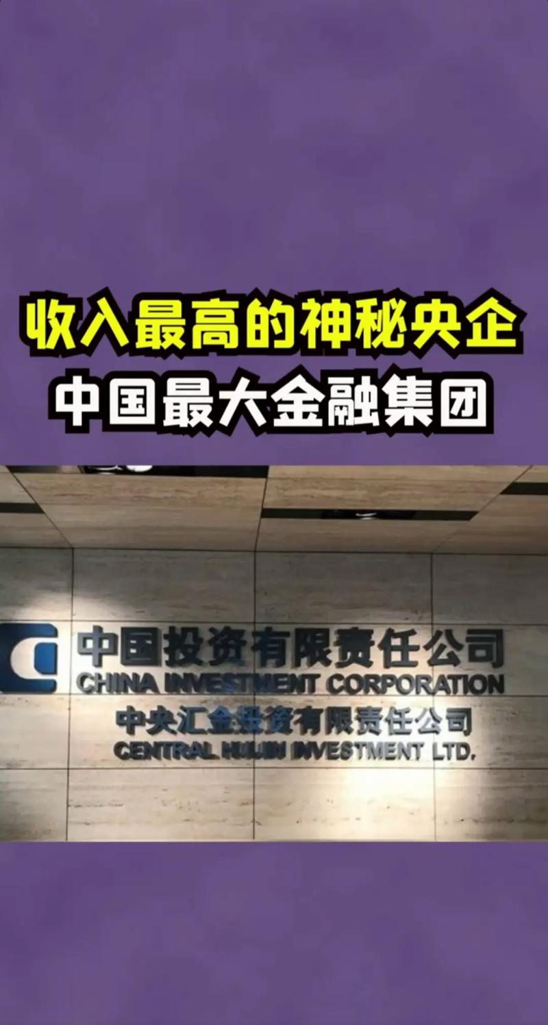 中水电海外投资有限公司