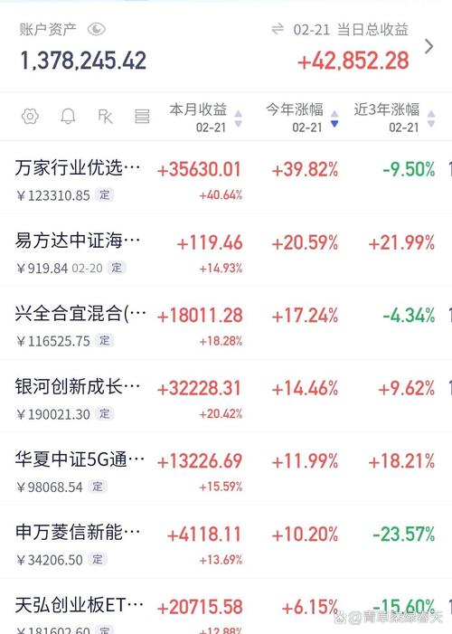 2011年固定资产投资