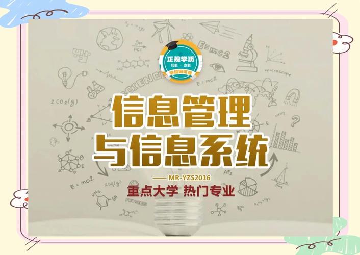 信息管理与信息系统专业学什么