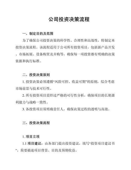 项目投资决策考虑因素