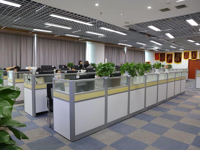 深圳市理约云信息管理有限公司