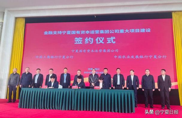 宁夏国有投资运营公司