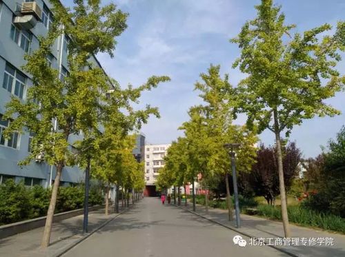 北京工商管理专修学院是真是假