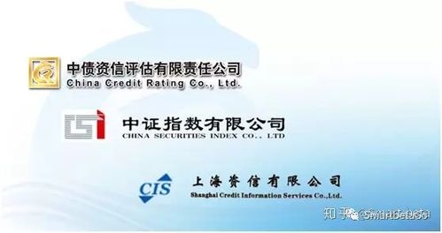 信用评级 投资人付费
