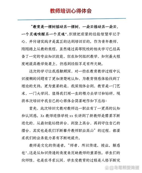 对企业培训老师的评价