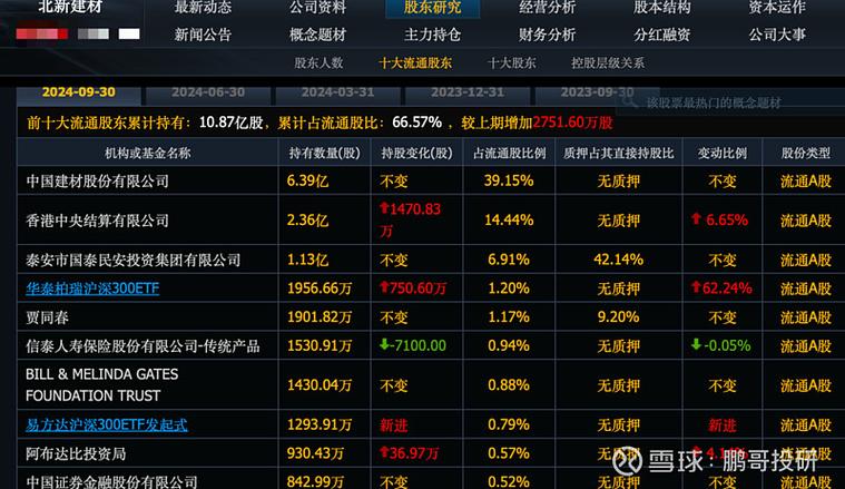 阿布扎比投资局 a股