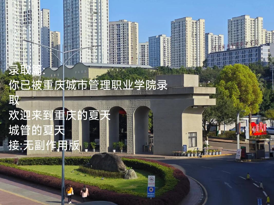 重庆城市管理职业学院学工系统