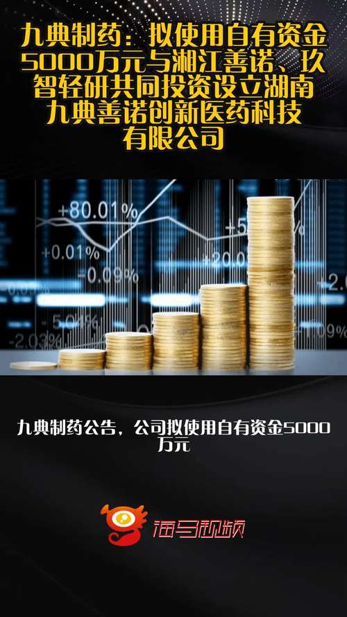 利用自有资金对外投资