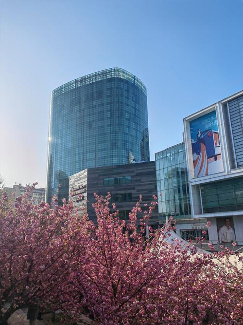 通江投资集团海棠金融