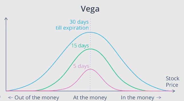 期权投资组合vega