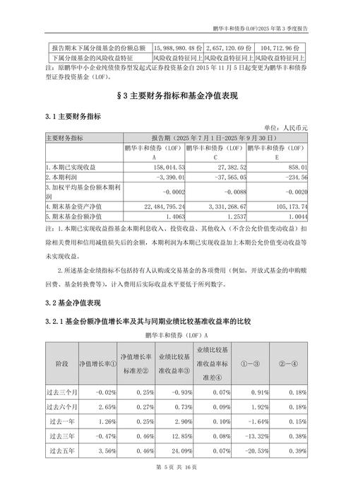 2025证券投资报告