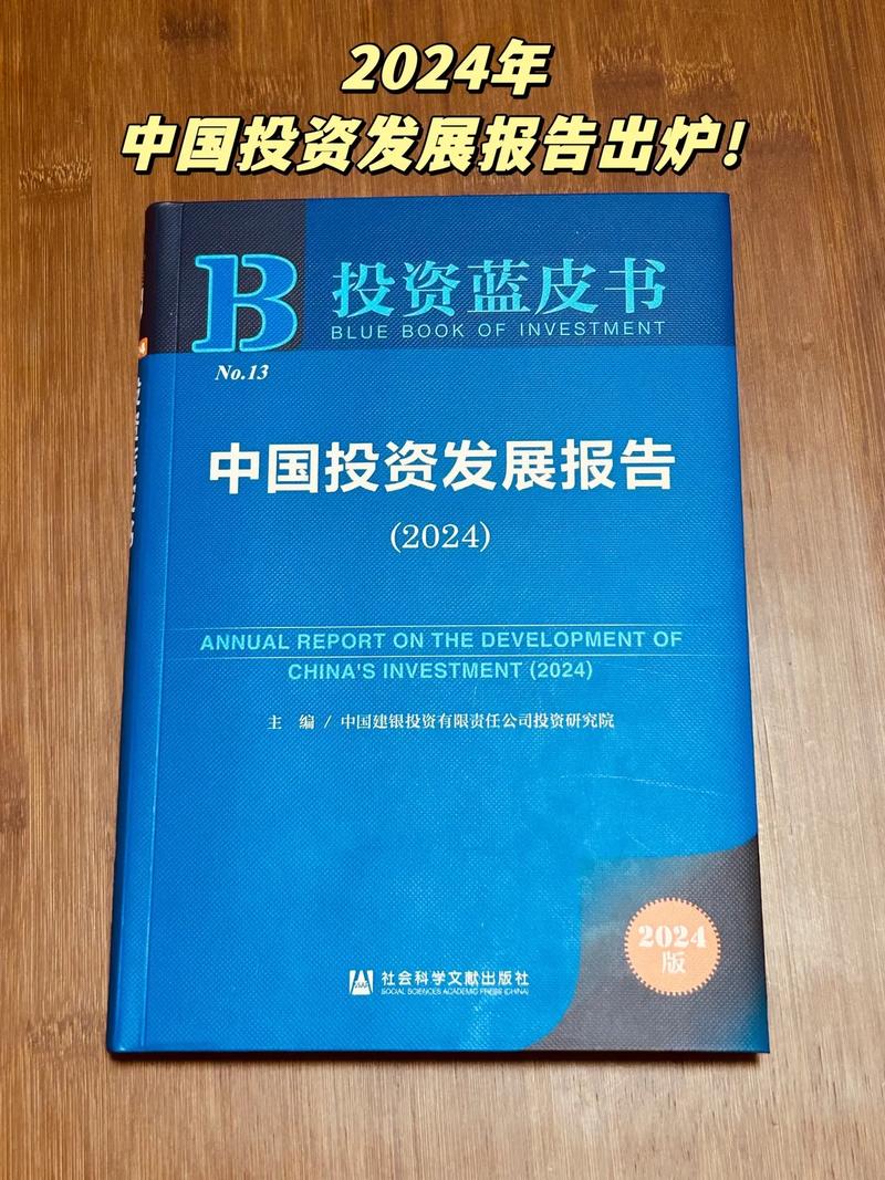 中国投资银行研究报告