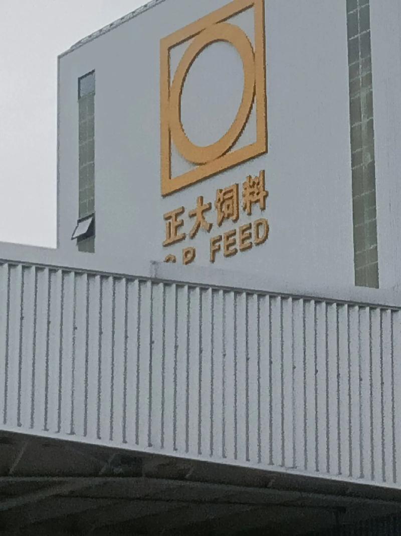 黑龙江省大正投资集团