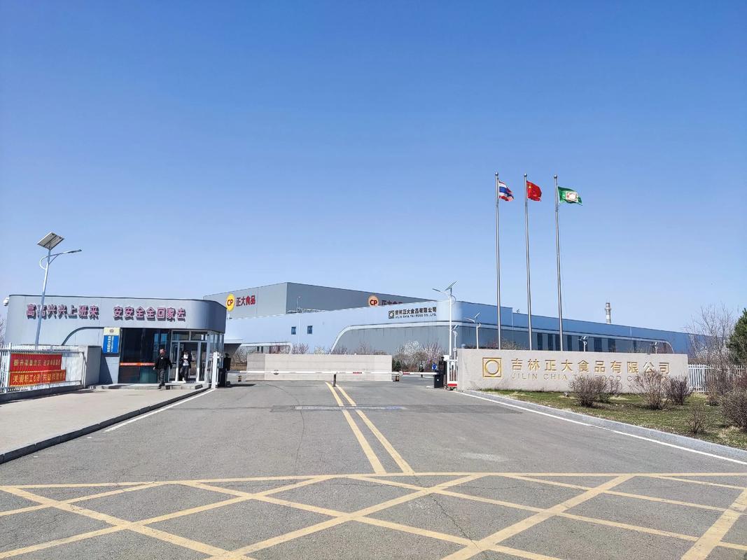 黑龙江省大正投资集团