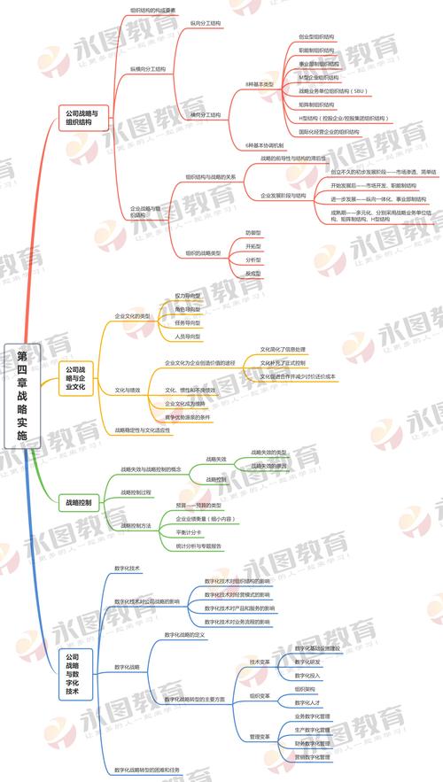注册会计师公司战略与风险管理
