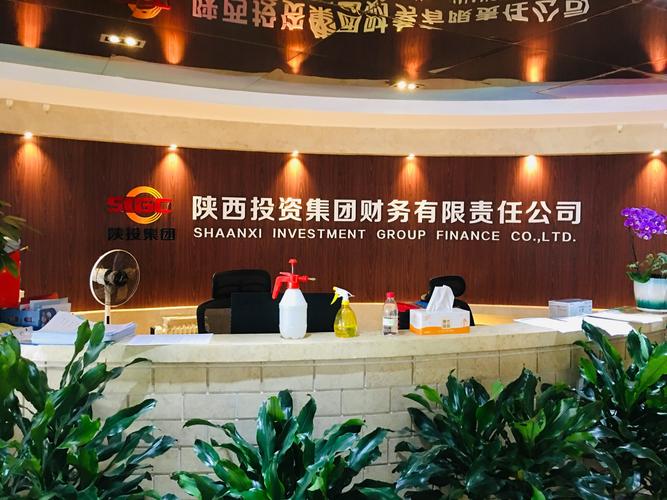 陕西巨丰投资有限公司