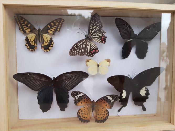 野生动物与自然保护区管理专业