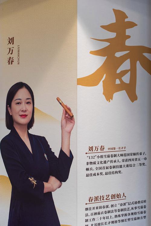 周思敏礼仪培训ppt