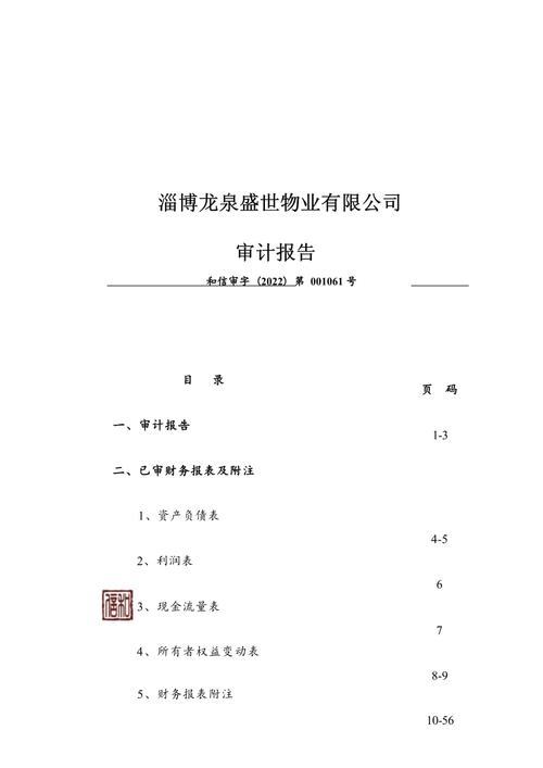外商投资企业审计报告