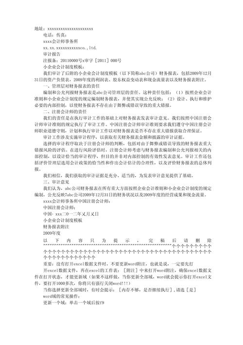 外商投资企业审计报告