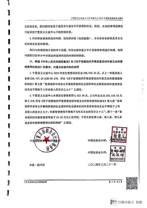 外商投资企业审计报告