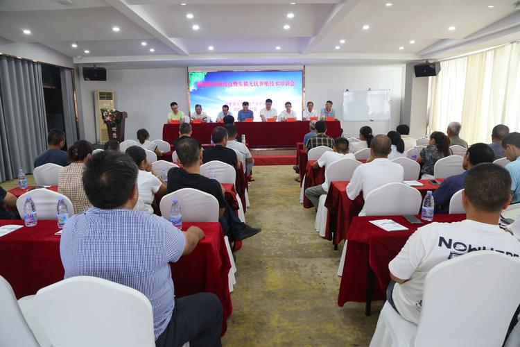 腾飞老师的高级培训课