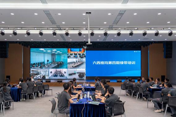 六西格玛绿带培训视频