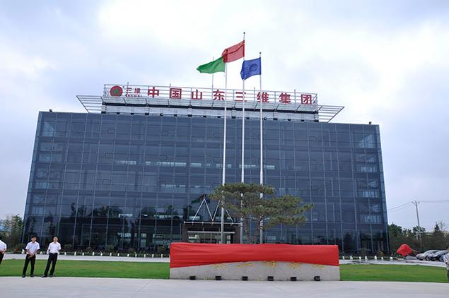 山东三维建设项目管理有限公司