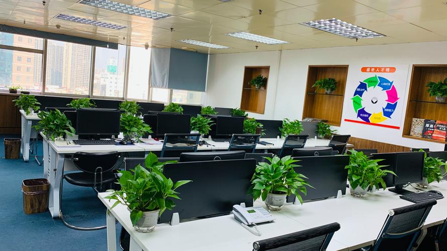 上海教育建设管理咨询有限公司