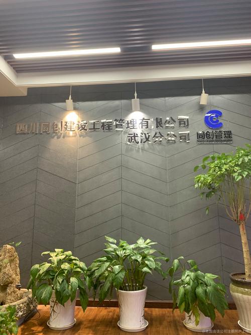 四川同创建设工程管理有限公司