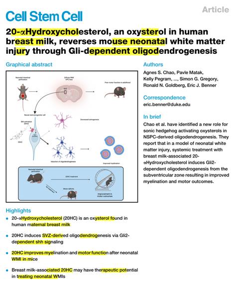 cell生产模式培训