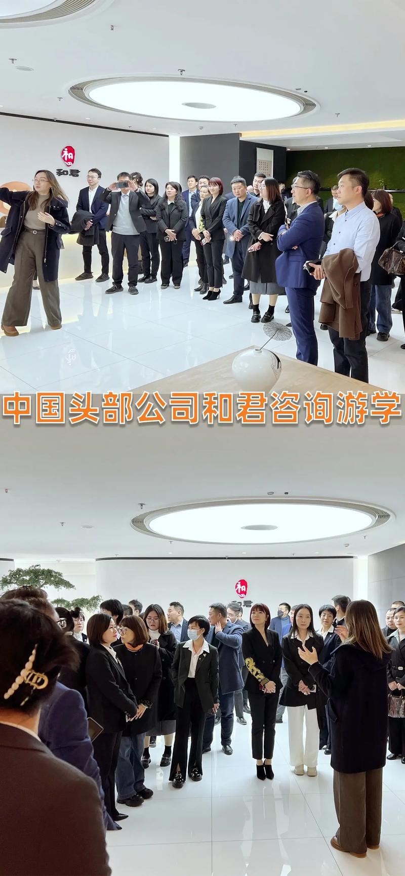 国际注册管理咨询师 cmc