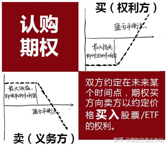 买入认购期权的投资者