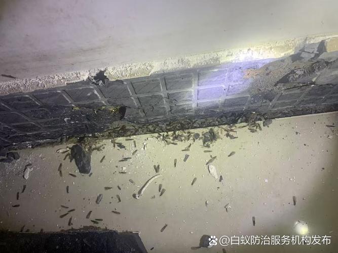 昆山市白蚁防治和房屋管理所