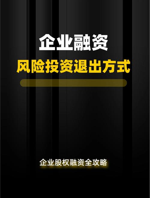 风险投资的方式有哪些