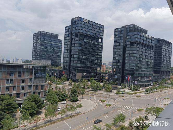 深圳市滨海基金管理有限公司