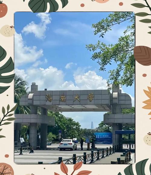 海南大学财务管理在哪个校区