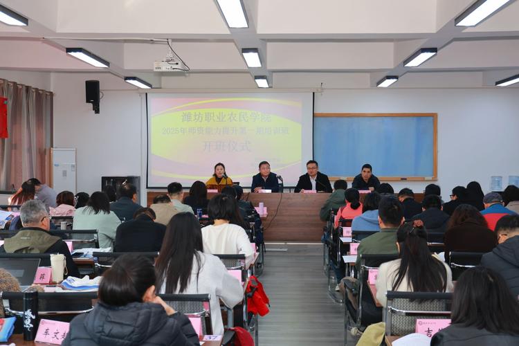 培训师培训的技能提升