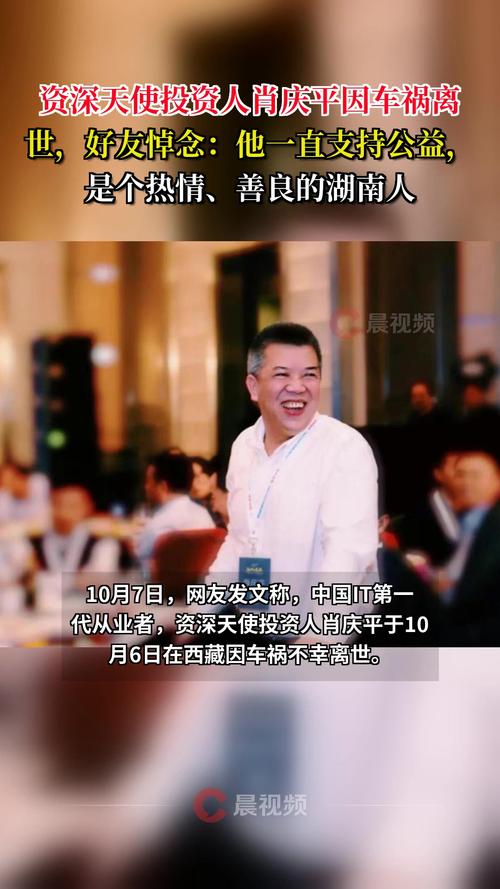 ofo天使投资人是谁