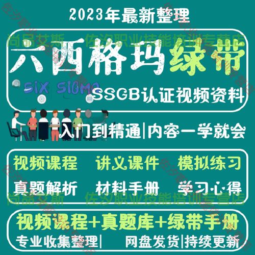 6 sigma 培训