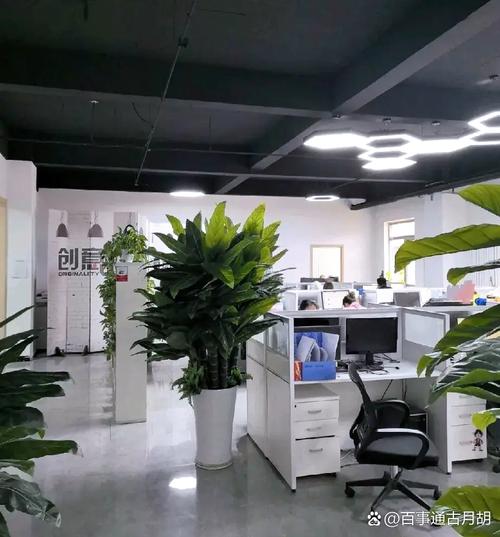 深圳市衍盛资产管理有限公司