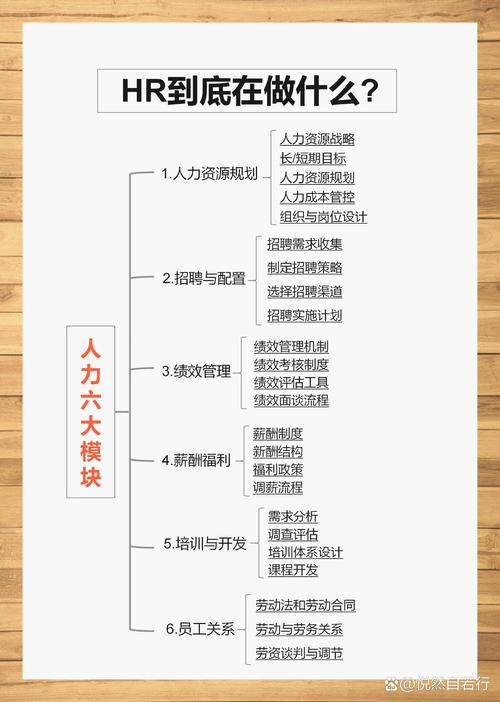 谈谈你对人力资源管理的理解